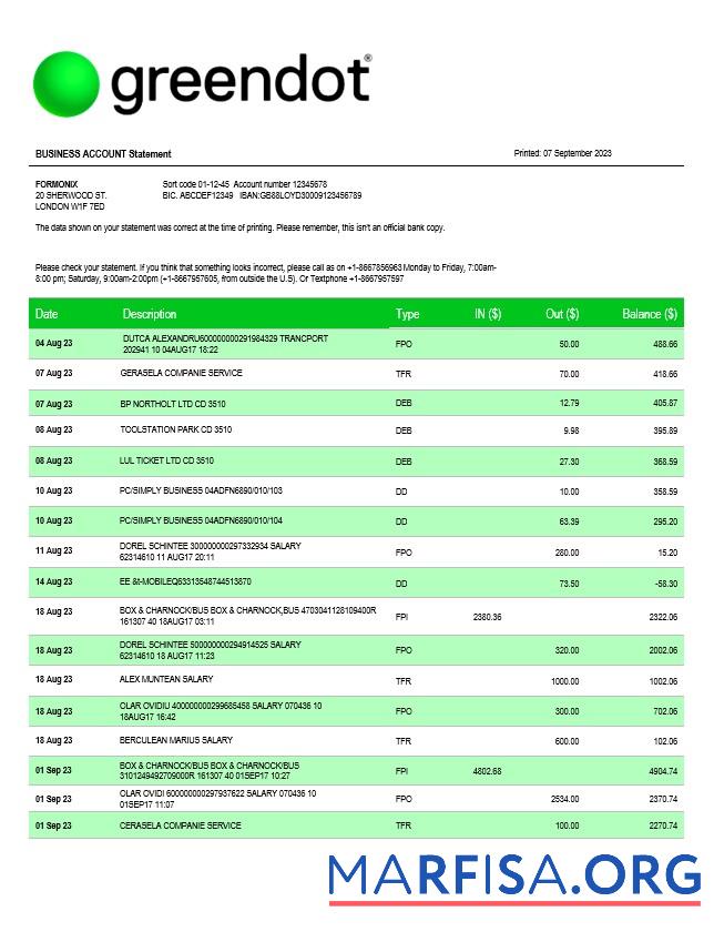 Blank Green Dot Bank business checking account statement Word and PDF template